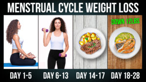 Menstrual Cycle Weight Loss | Full Plan Days 1–28