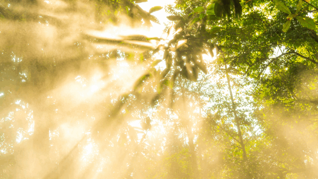 Start Your Day Right: 5 Morning Habits That Ignite Fat Burning and Boost Energy